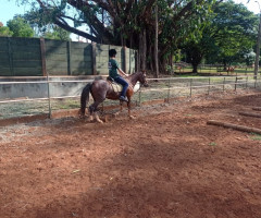 IMG-20221109-WA0013-Personalizado