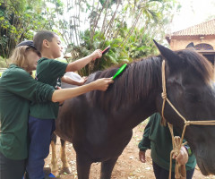 IMG-20221110-WA0075-Personalizado