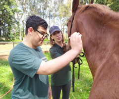 IMG-20221110-WA0078-Personalizado