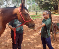 IMG-20221111-WA0024-Personalizado