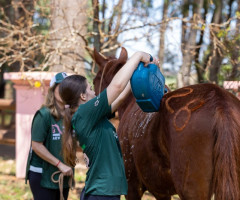 Atividades e Atendimento mês de setembro 2022 