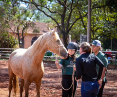 ECOTERAPIA-VASSOURAL-5o-Endurinho-Adaptado-EAV-Dia-24.09.2022-101-Personalizado