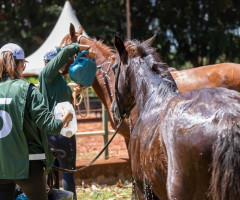 ECOTERAPIA-VASSOURAL-5o-Endurinho-Adaptado-EAV-Dia-24.09.2022-602-Personalizado