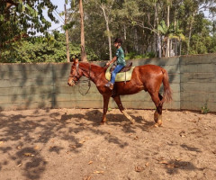 IMG-20220913-WA0008-Personalizado