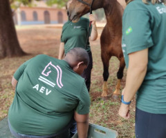 IMG-20220915-WA0036-Personalizado