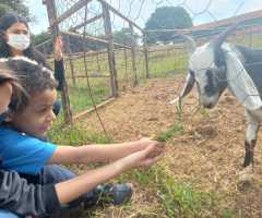 WhatsApp-Image-2022-07-22-at-11.13.42