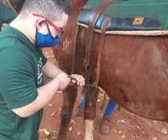 WhatsApp-Image-2022-07-22-at-11.13.43-1