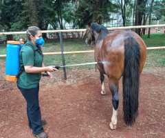 WhatsApp-Image-2022-07-22-at-11.13.43