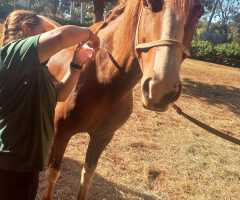 WhatsApp-Image-2022-07-22-at-11.13.44