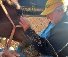 WhatsApp-Image-2022-07-22-at-11.13.45-2