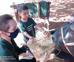 WhatsApp-Image-2022-07-22-at-11.13.46-1