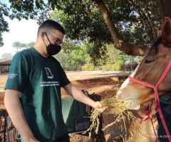 WhatsApp-Image-2022-07-22-at-11.09.01