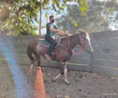 WhatsApp-Image-2022-07-22-at-11.09.18