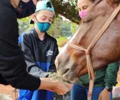 WhatsApp-Image-2022-07-22-at-11.10.25-1