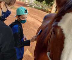 WhatsApp-Image-2022-07-22-at-11.10.25-2