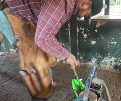 WhatsApp-Image-2022-07-22-at-11.10.26-1