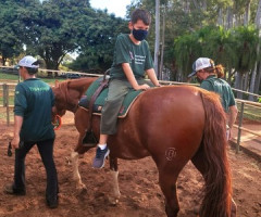 Atividades e Atendimento mês maio 2022