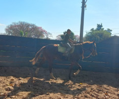 20220510_095613-Pequeno