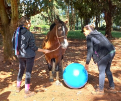 20220518_140328-Pequeno