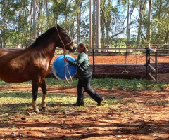 20220518_141156-Pequeno