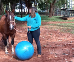 20220518_142423-Pequeno