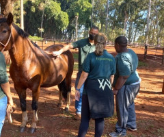 20220525_143819-Pequeno