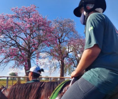 IMG-20220503-WA0025-Pequeno