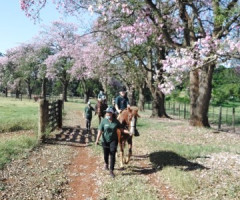 IMG-20220503-WA0029-Pequeno