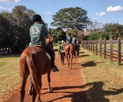 IMG-20220504-WA0012-Pequeno