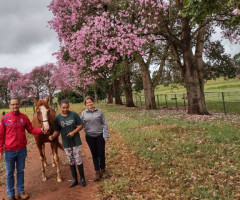 IMG-20220504-WA0053-Pequeno