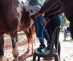 IMG-20220520-WA0001-Pequeno