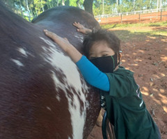 IMG-20220527-WA0006-Pequeno