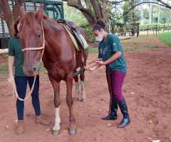 Atividades e Atendimento mês março 2022