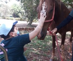 WhatsApp-Image-2020-12-01-at-13.35.58