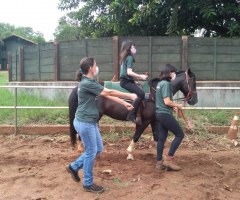 WhatsApp-Image-2020-12-06-at-14.20.15