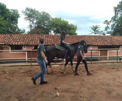 WhatsApp-Image-2020-12-06-at-14.20.21