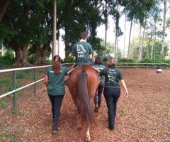 WhatsApp-Image-2020-12-10-at-16.33.34-1