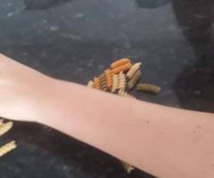 WhatsApp-Image-2020-10-09-at-10.50.18-1