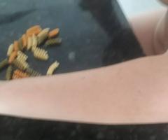 WhatsApp-Image-2020-10-09-at-10.50.18-2