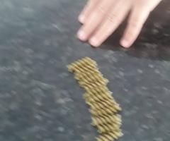 WhatsApp-Image-2020-10-09-at-10.50.18-4