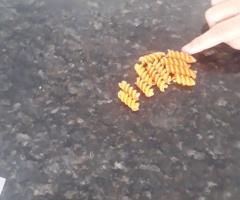 WhatsApp-Image-2020-10-09-at-10.50.22