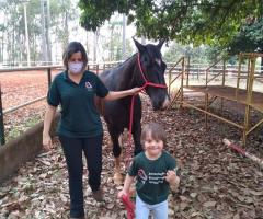 WhatsApp-Image-2020-10-13-at-17.54.57-12