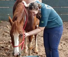 WhatsApp-Image-2020-10-15-at-15.00.28-3