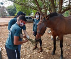 WhatsApp-Image-2020-10-16-at-13.57.30-5