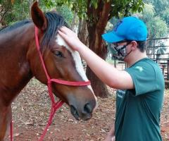 WhatsApp-Image-2020-10-19-at-07.26.22-15