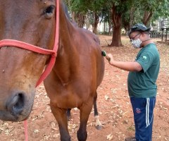 WhatsApp-Image-2020-10-19-at-15.37.54-13