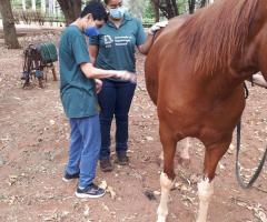 WhatsApp-Image-2020-10-20-at-10.44.04