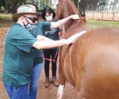 WhatsApp-Image-2020-10-23-at-11.28.05