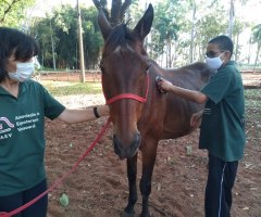 WhatsApp-Image-2020-10-23-at-17.19.51-2