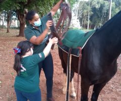 WhatsApp-Image-2020-10-25-at-14.22.41